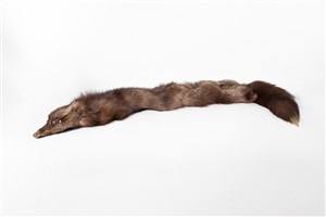 Image description is not available for 2018.1.1